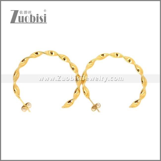 Stainless Steel Earring e002695G