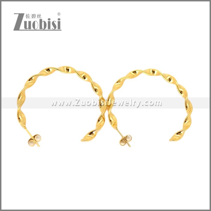 Stainless Steel Earring e002695G