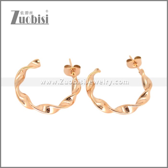 Stainless Steel Earring e002694R