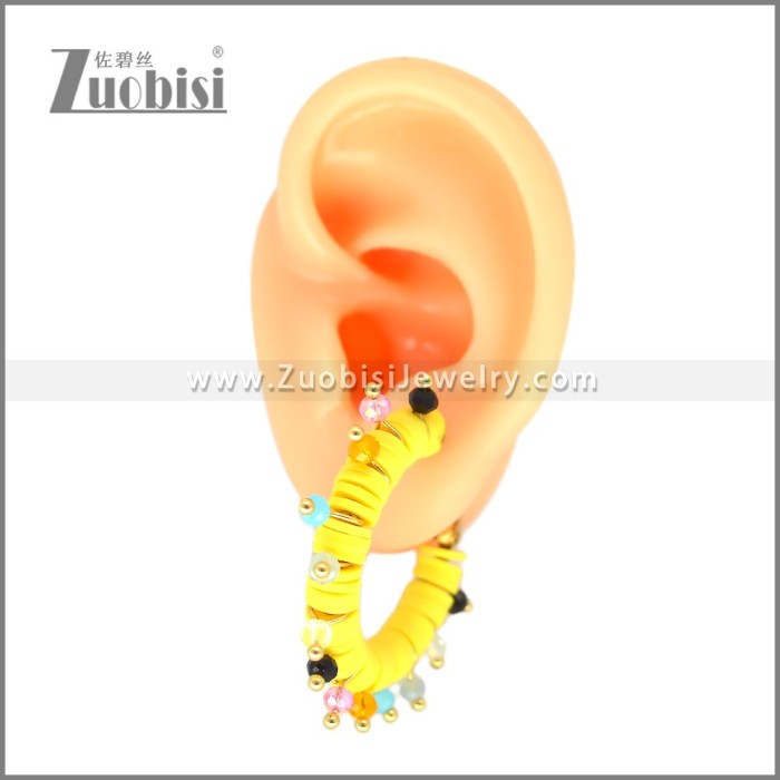 Stainless Steel Earring e002699G2