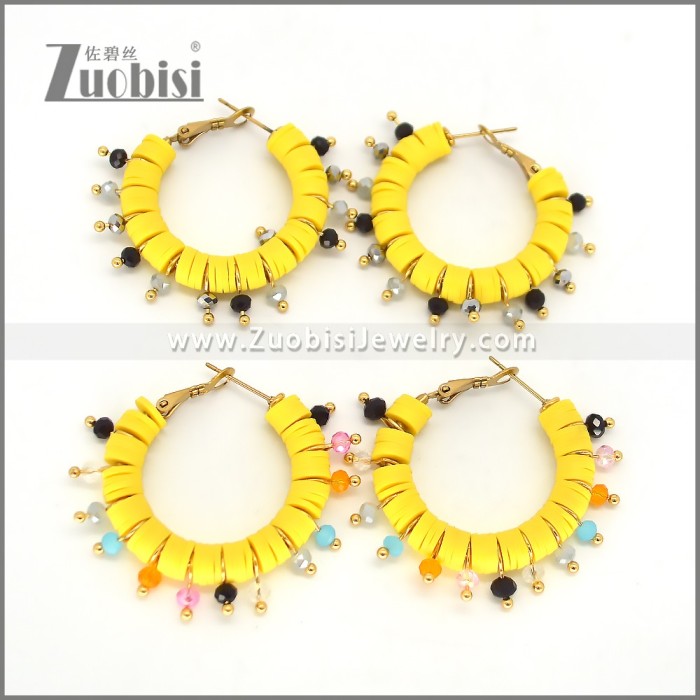 Stainless Steel Earring e002699G2