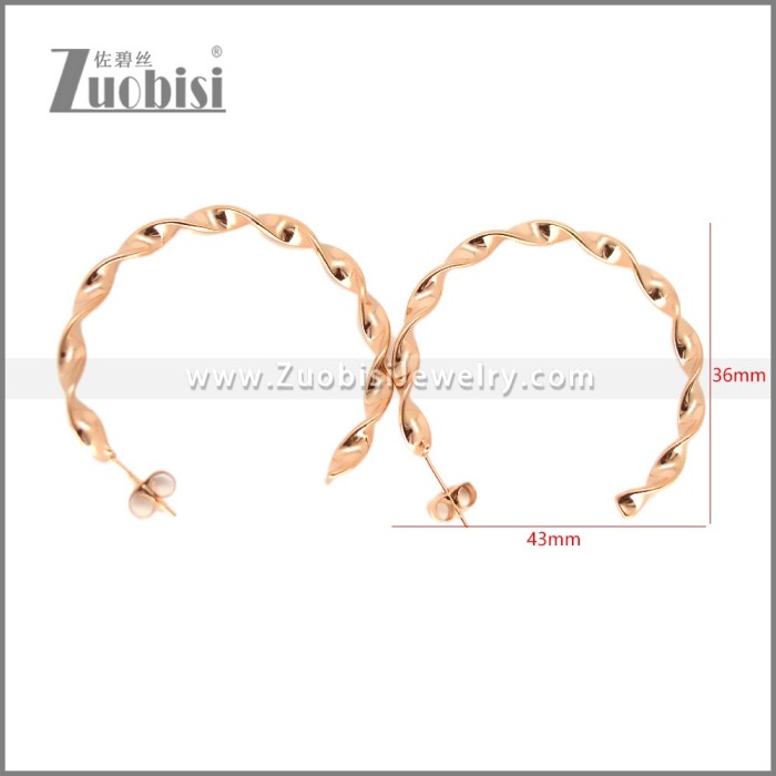 Stainless Steel Earring e002695R