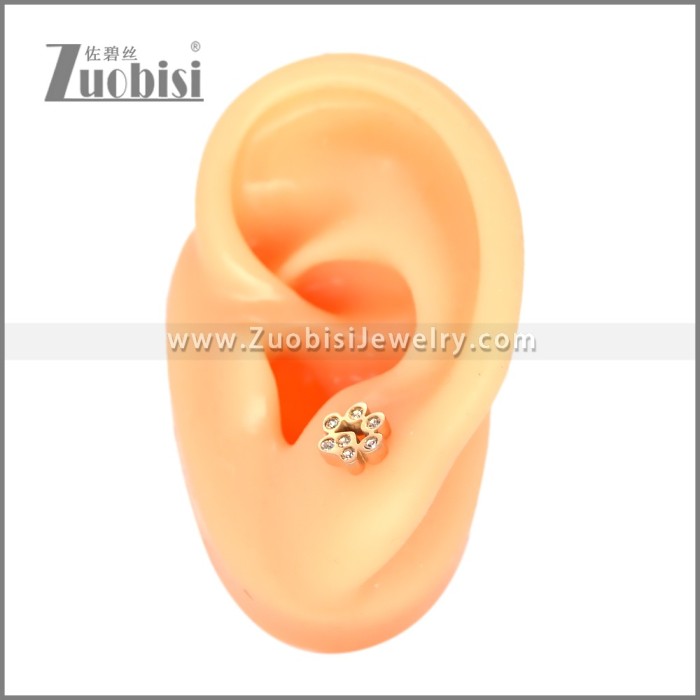 Stainless Steel Earring e002701R