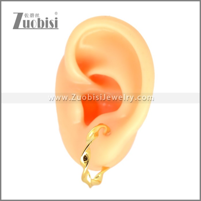 Stainless Steel Earring e002694G