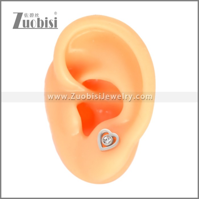 Stainless Steel Earring e002704S