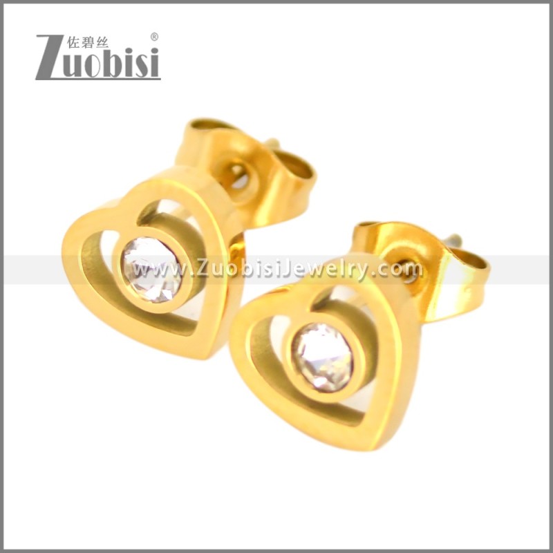 Stainless Steel Earring e002704G