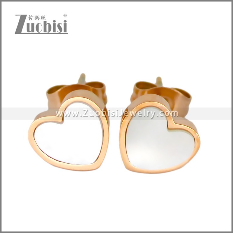Stainless Steel Earring e002705R