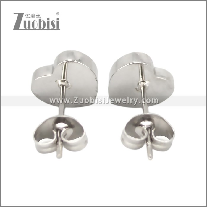 Stainless Steel Earring e002705S