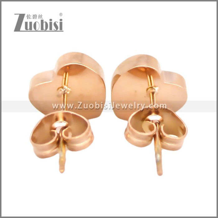 Stainless Steel Earring e002705R