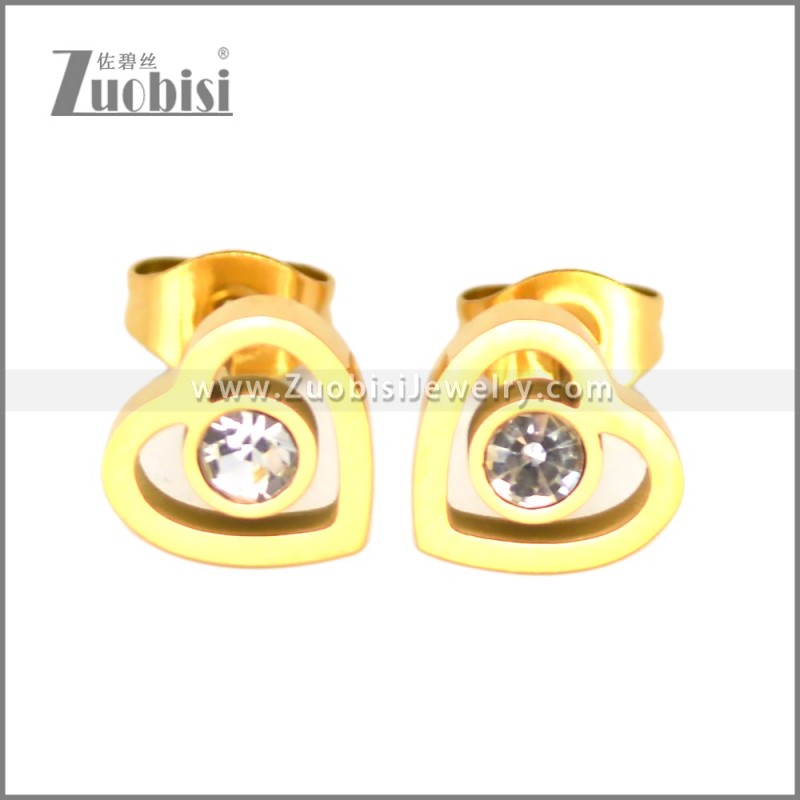 Stainless Steel Earring e002704G