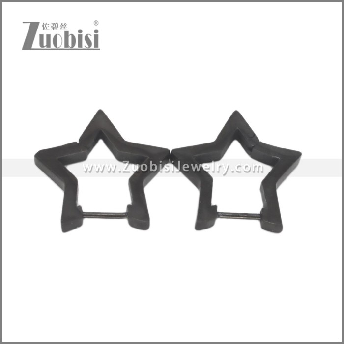 Stainless Steel Earring e002706H