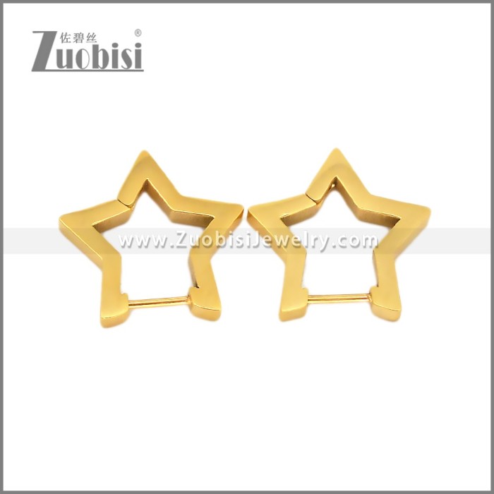 Stainless Steel Earring e002706G