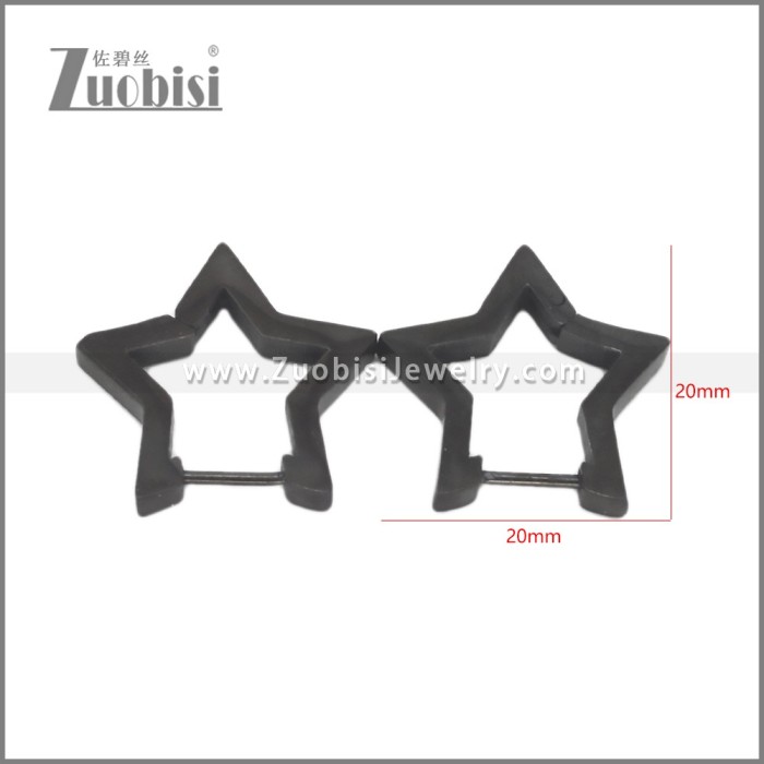 Stainless Steel Earring e002706H