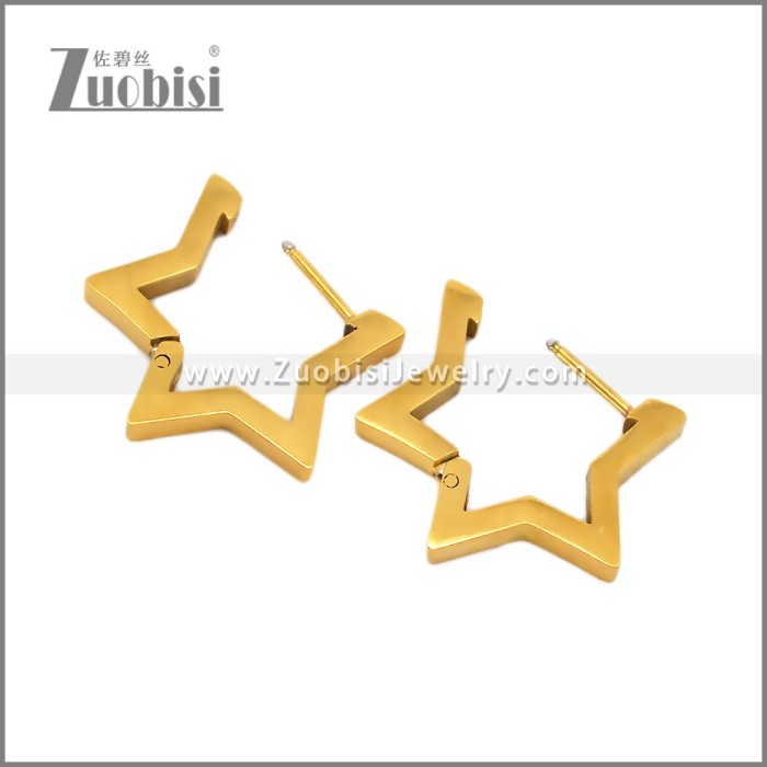 Stainless Steel Earring e002706G