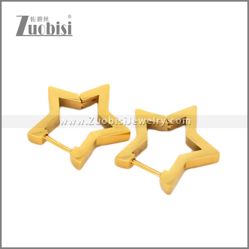 Stainless Steel Earring e002706G