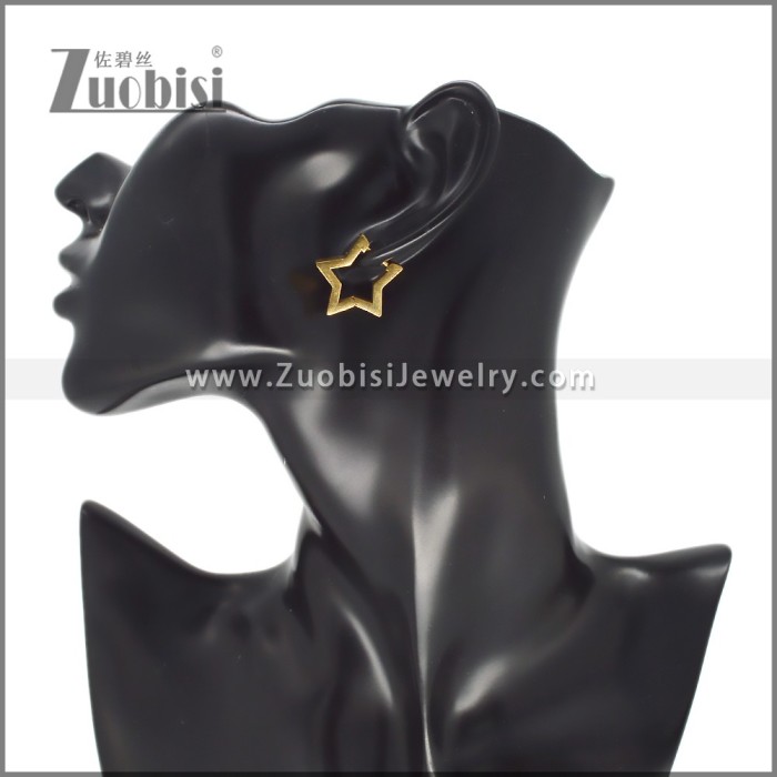 Stainless Steel Earring e002706G