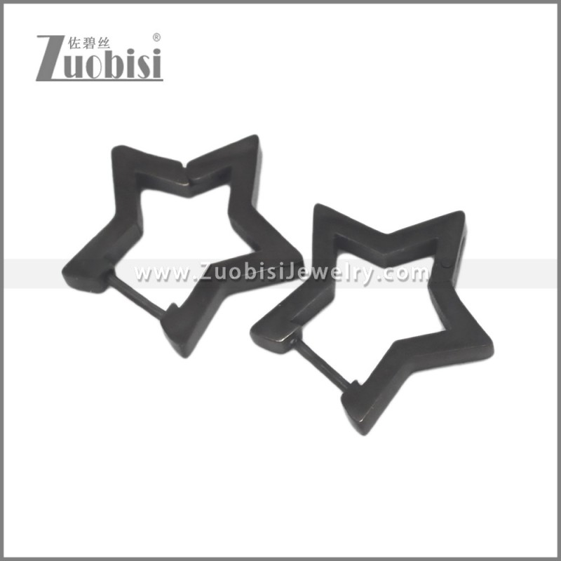 Stainless Steel Earring e002706H