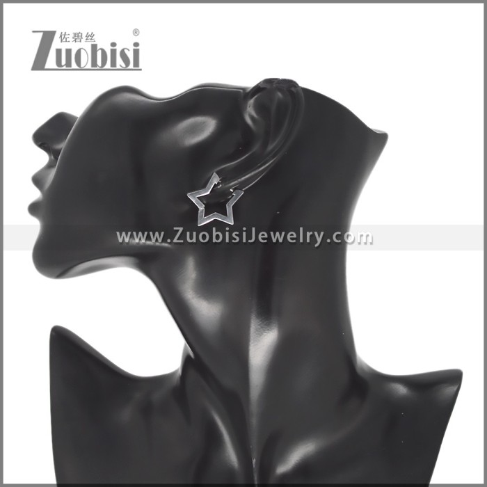 Stainless Steel Earring e002706S