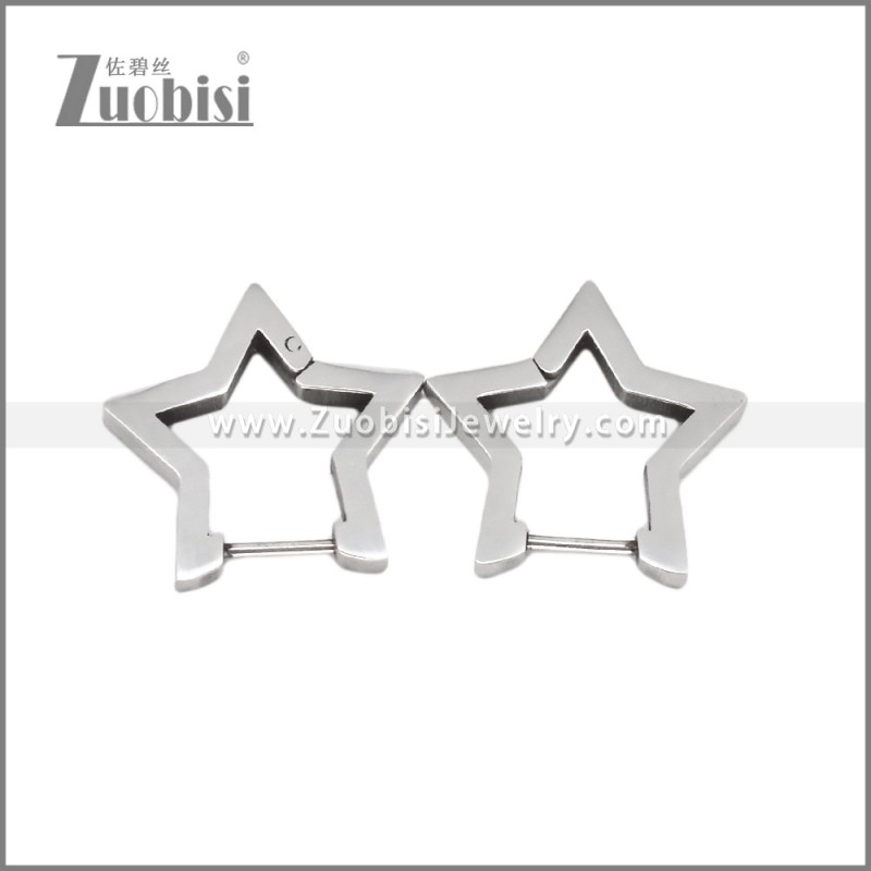 Stainless Steel Earring e002706S