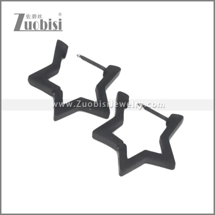 Stainless Steel Earring e002706H