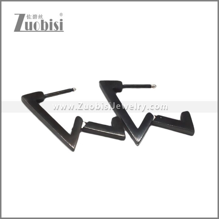 Stainless Steel Earring e002709H