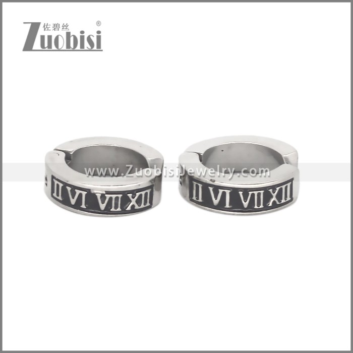 Stainless Steel Earring e002708S1