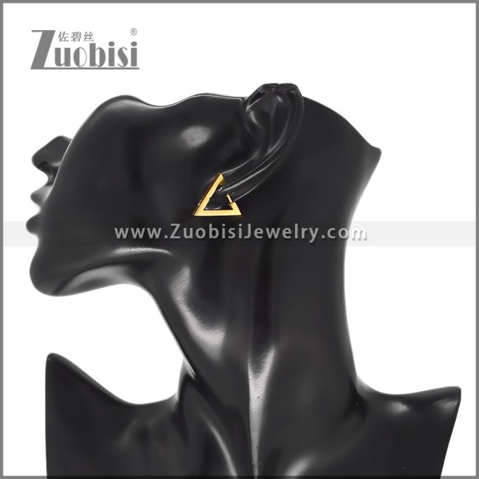 Stainless Steel Earring e002709G