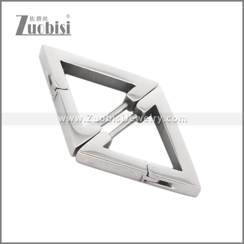 Stainless Steel Earring e002709S