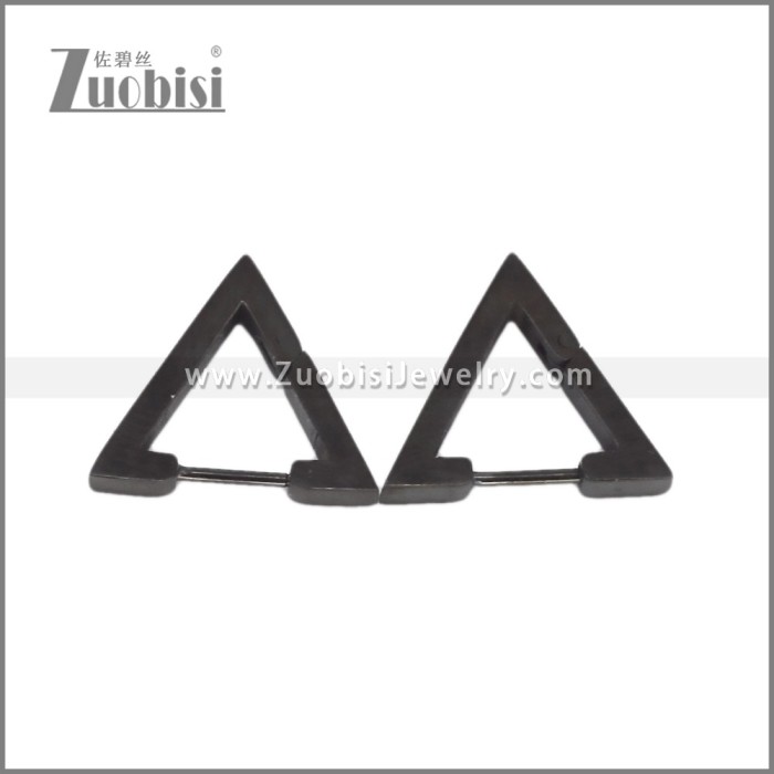 Stainless Steel Earring e002709H