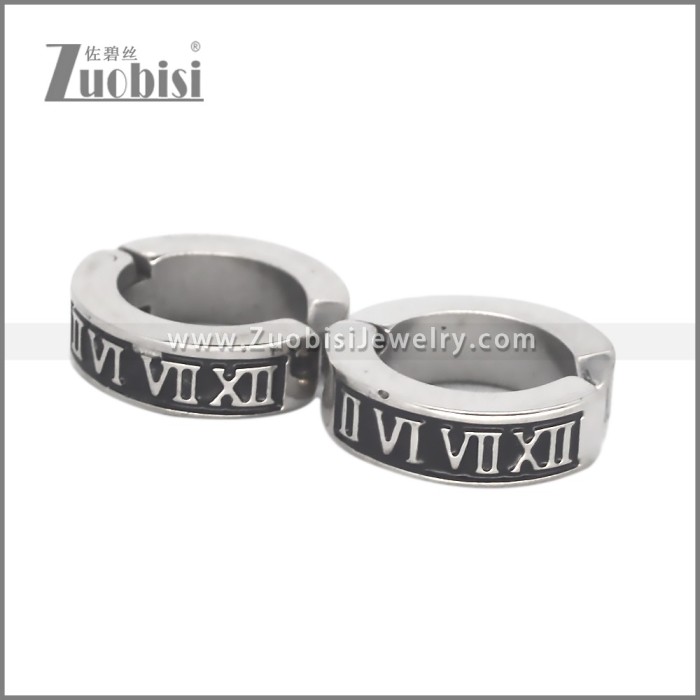 Stainless Steel Earring e002708S1