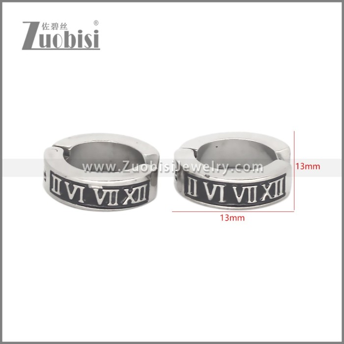 Stainless Steel Earring e002708S1