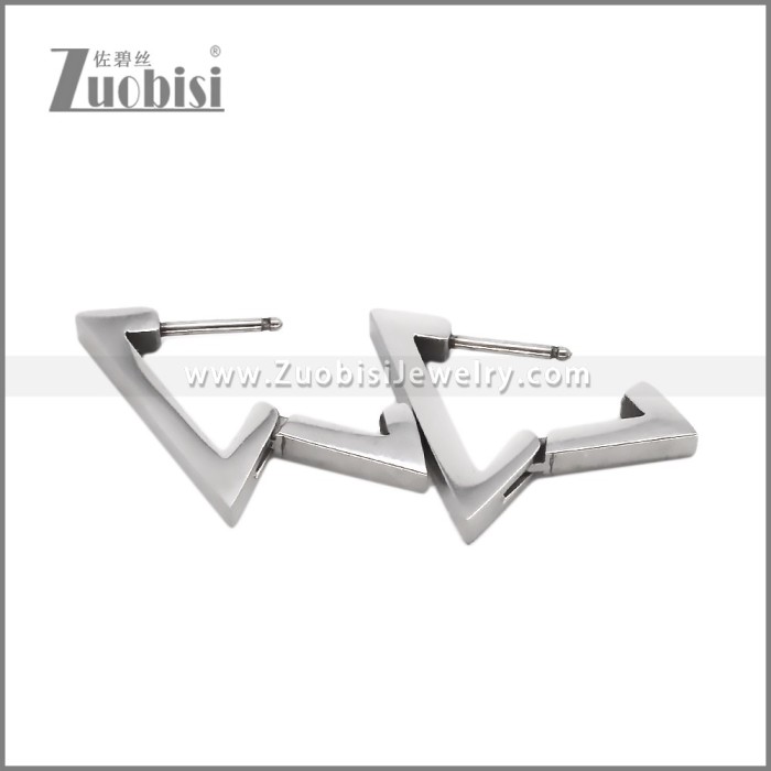 Stainless Steel Earring e002709S