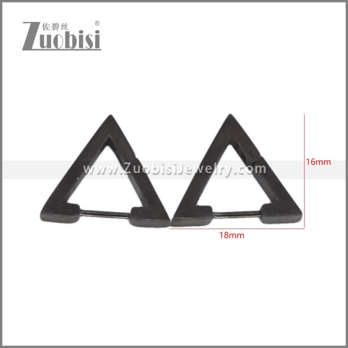 Stainless Steel Earring e002709H