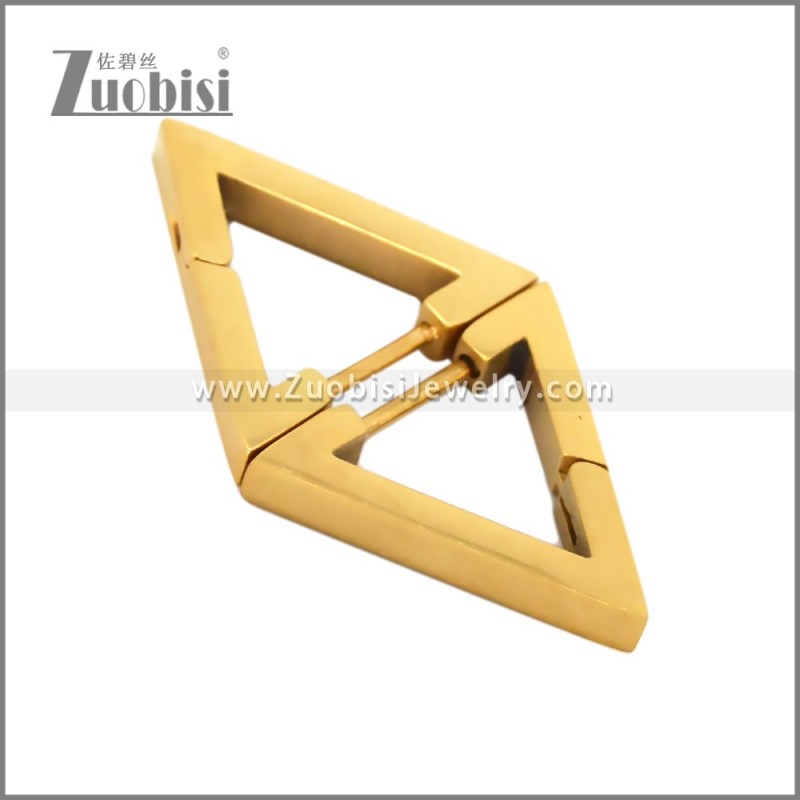 Stainless Steel Earring e002709G