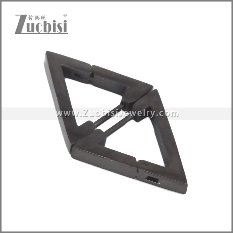 Stainless Steel Earring e002709H