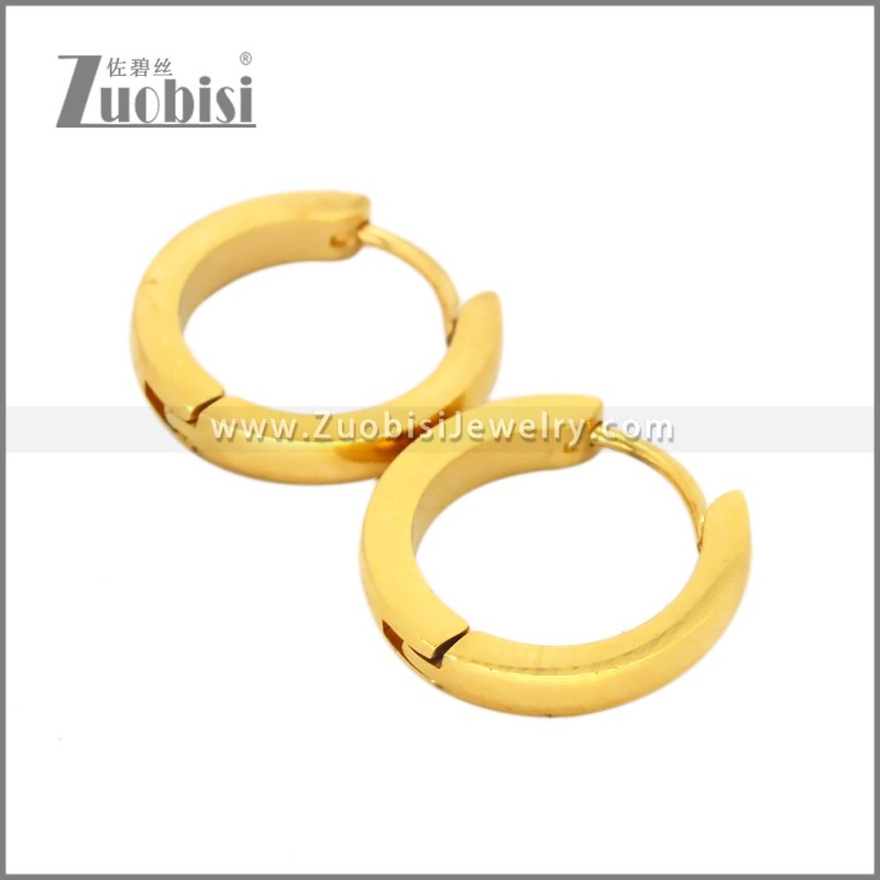 Stainless Steel Earring e002716G