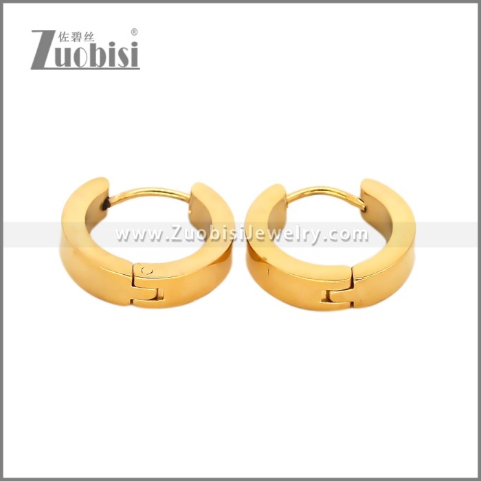 Stainless Steel Earring e002714G