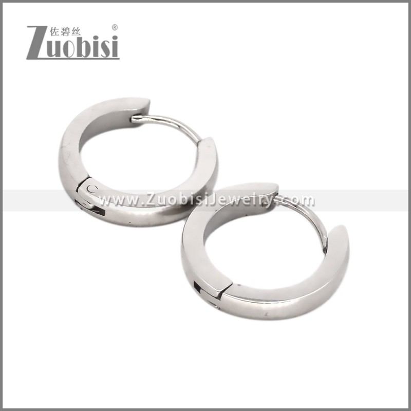 Stainless Steel Earring e002716S