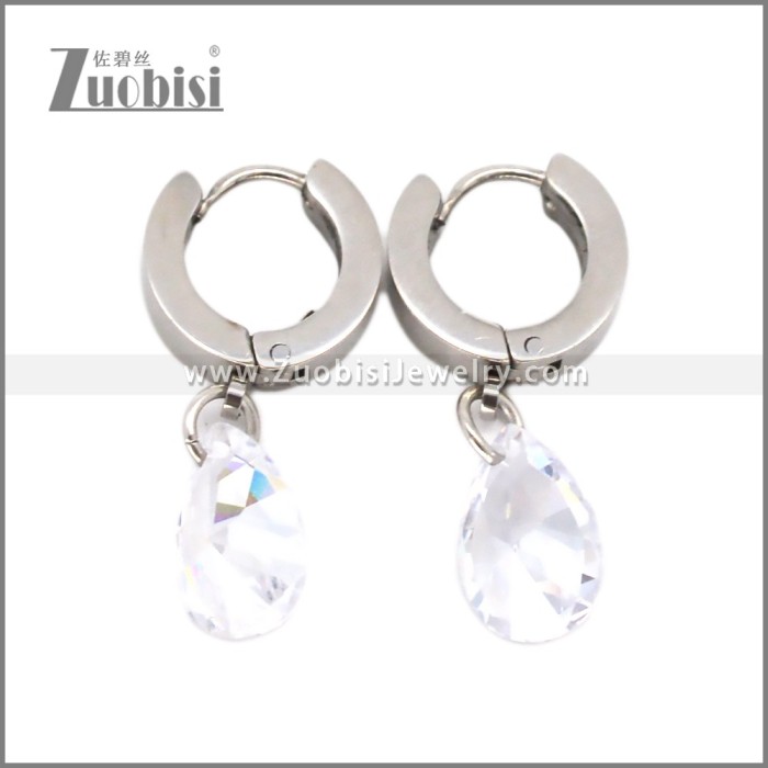 Stainless Steel Earring e002721