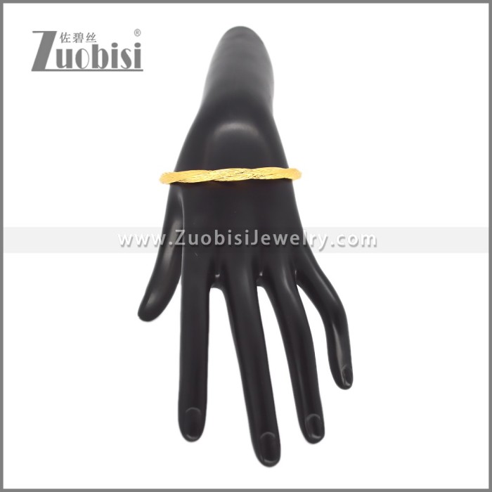 Stainless Steel Bangle b010812G