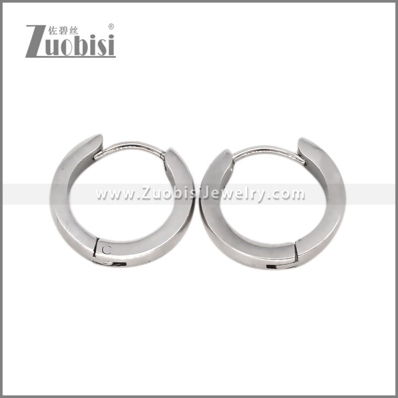 Stainless Steel Earring e002716S