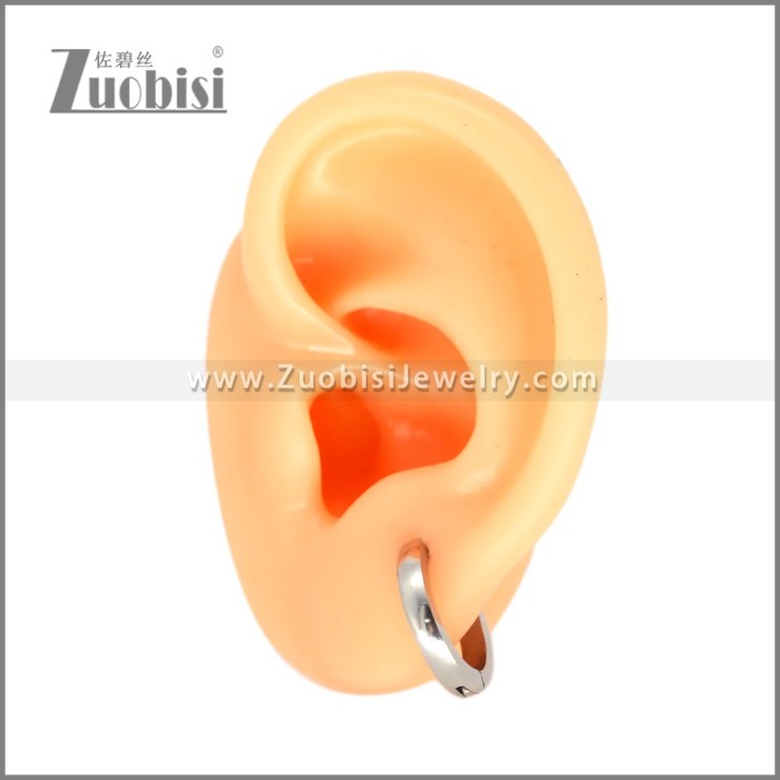 Stainless Steel Earring e002716S