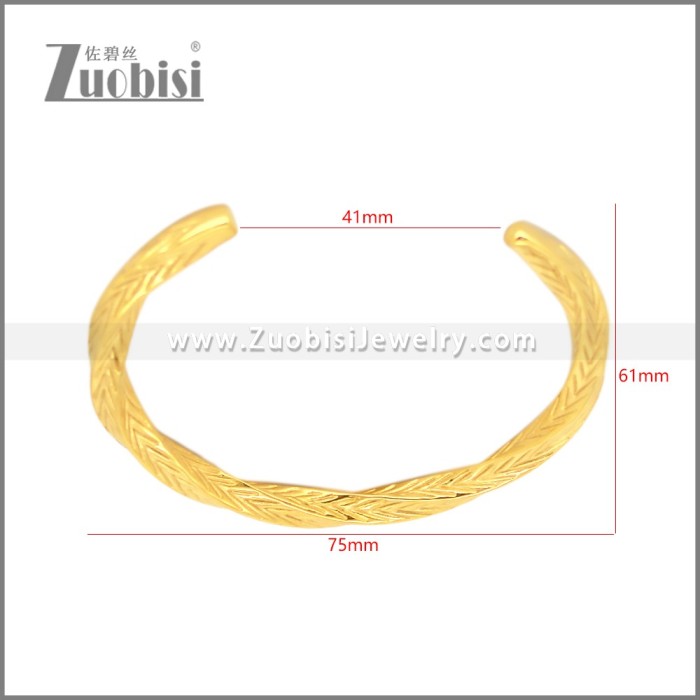 Stainless Steel Bangle b010812G