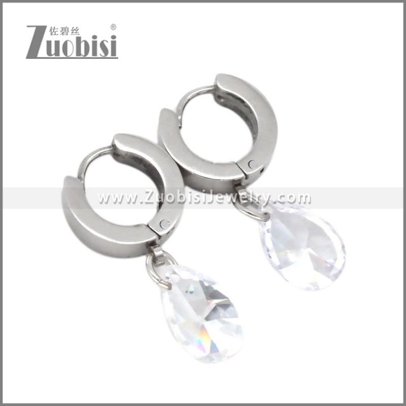 Stainless Steel Earring e002721