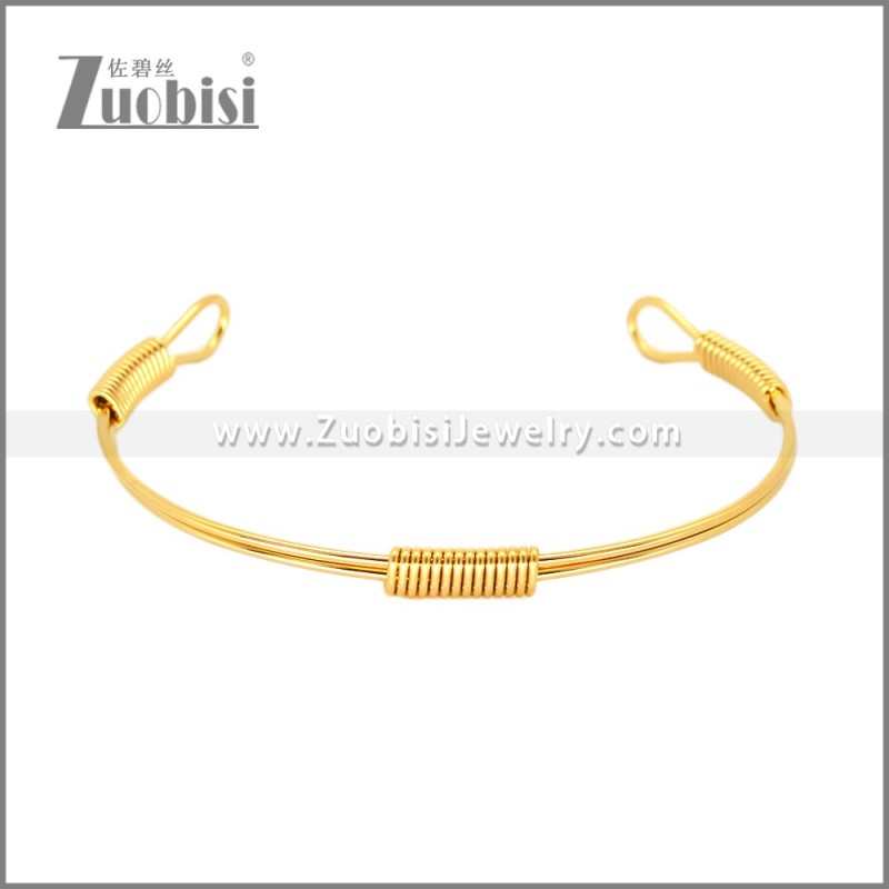 Stainless Steel Bangle b010788G