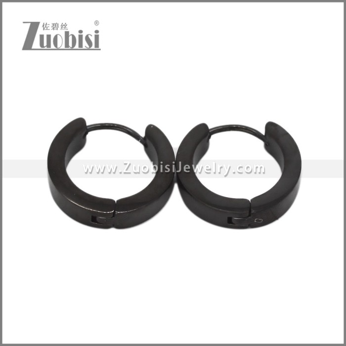 Stainless Steel Earring e002714H