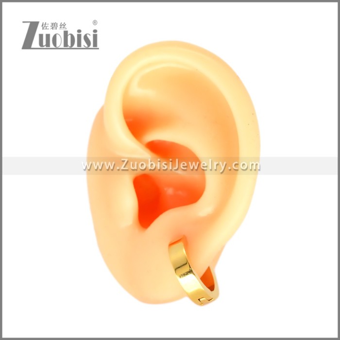 Stainless Steel Earring e002714G