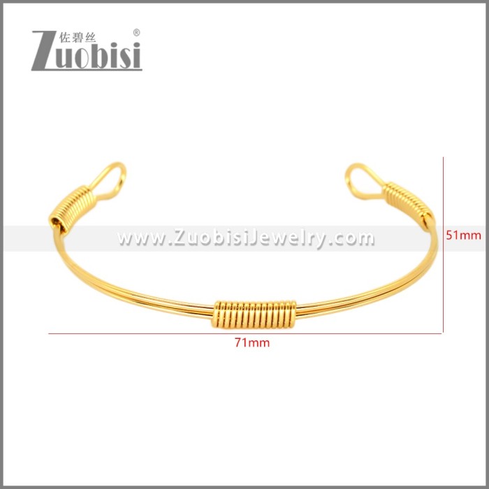 Stainless Steel Bangle b010788G