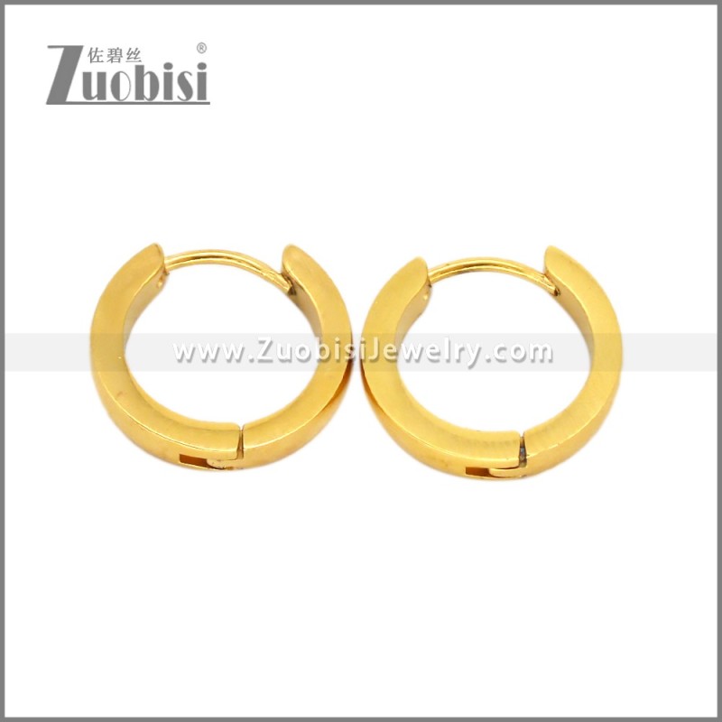 Stainless Steel Earring e002716G
