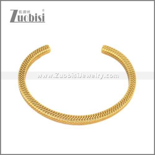 Stainless Steel Bangle b010818G